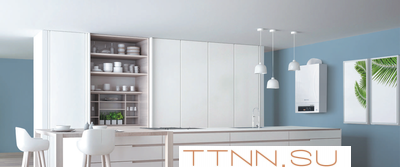 Настенный газовый котел Thermex Andromeda HM30 Настенный газовый котел Thermex Andromeda HM30