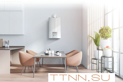 Настенный газовый котел Thermex EuroElite F36 Настенный газовый котел Thermex EuroElite F36