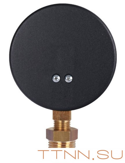 Термоманометр радиальный Watts FR 828(TMRA) 6 бар Термоманометр радиальный Watts FR 828(TMRA) 6 бар